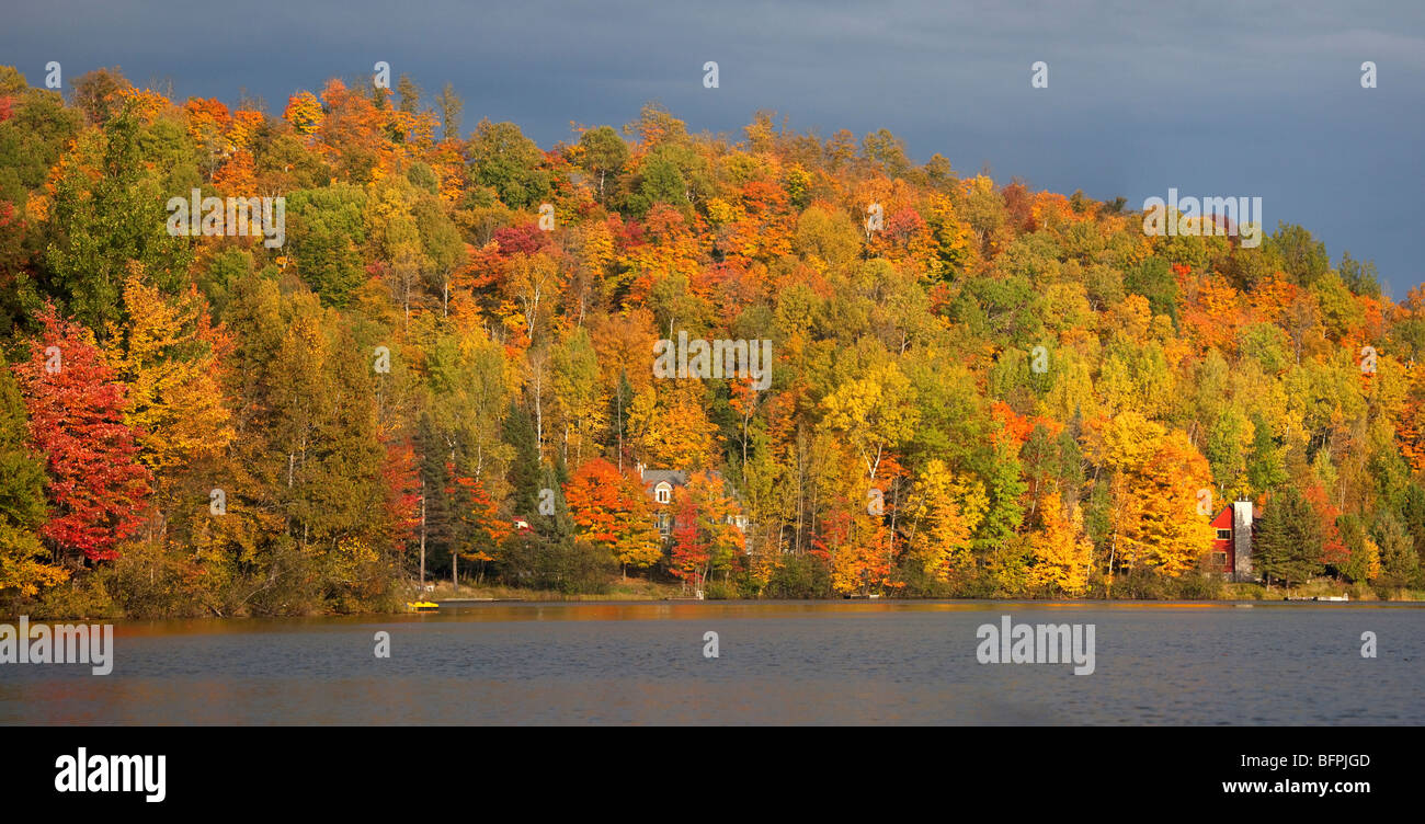 In autunno le foreste del Quebec, Canada Foto Stock