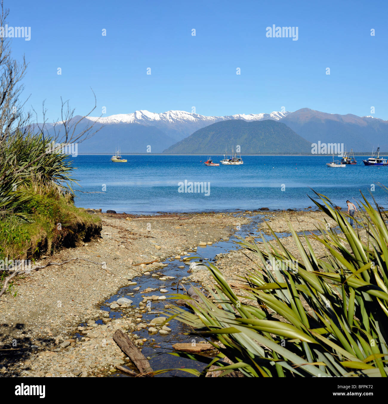 Nuova Zelanda Jackson Bay sulla costa occidentale dell'isola sud mezz'ora a sud di Haast. Foto Stock