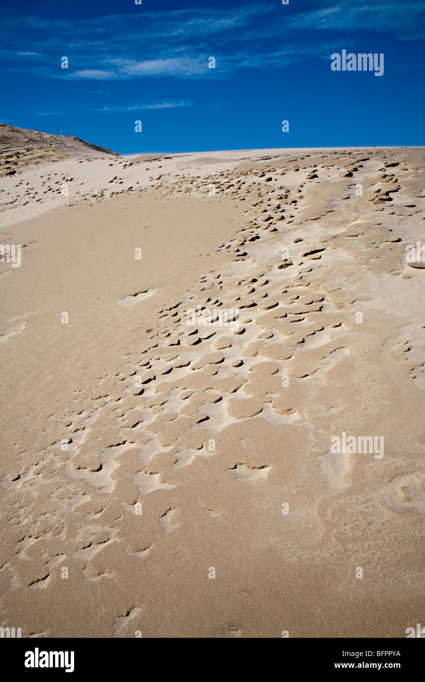I modelli in duna di sabbia Wydma Czolpinska dune Parco Nazionale di Slowinski Polonia Foto Stock