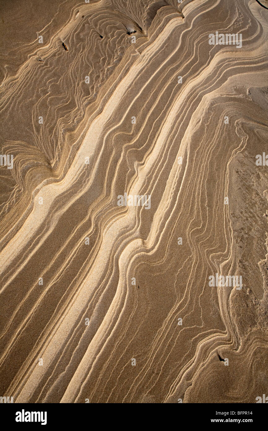 Modello di sabbia nel Parco Nazionale di Slowinski Polonia Foto Stock