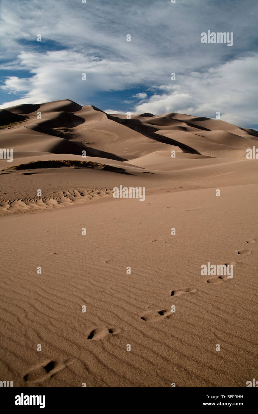 Stati Uniti Colorado Grande dune sabbiose del Parco Nazionale di dune di sabbia con Sangre de Cristo - passi nella sabbia Foto Stock