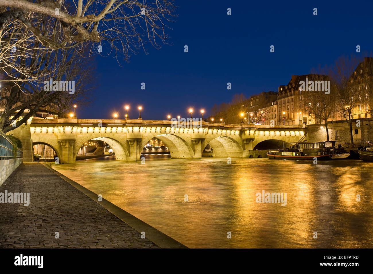 PONT NEUF DI NOTTE, Parigi Foto Stock