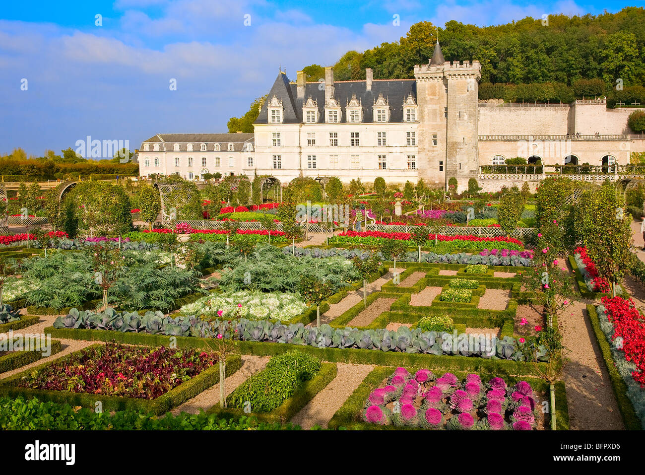 Castello di Villandry, Loire, Francia Foto Stock