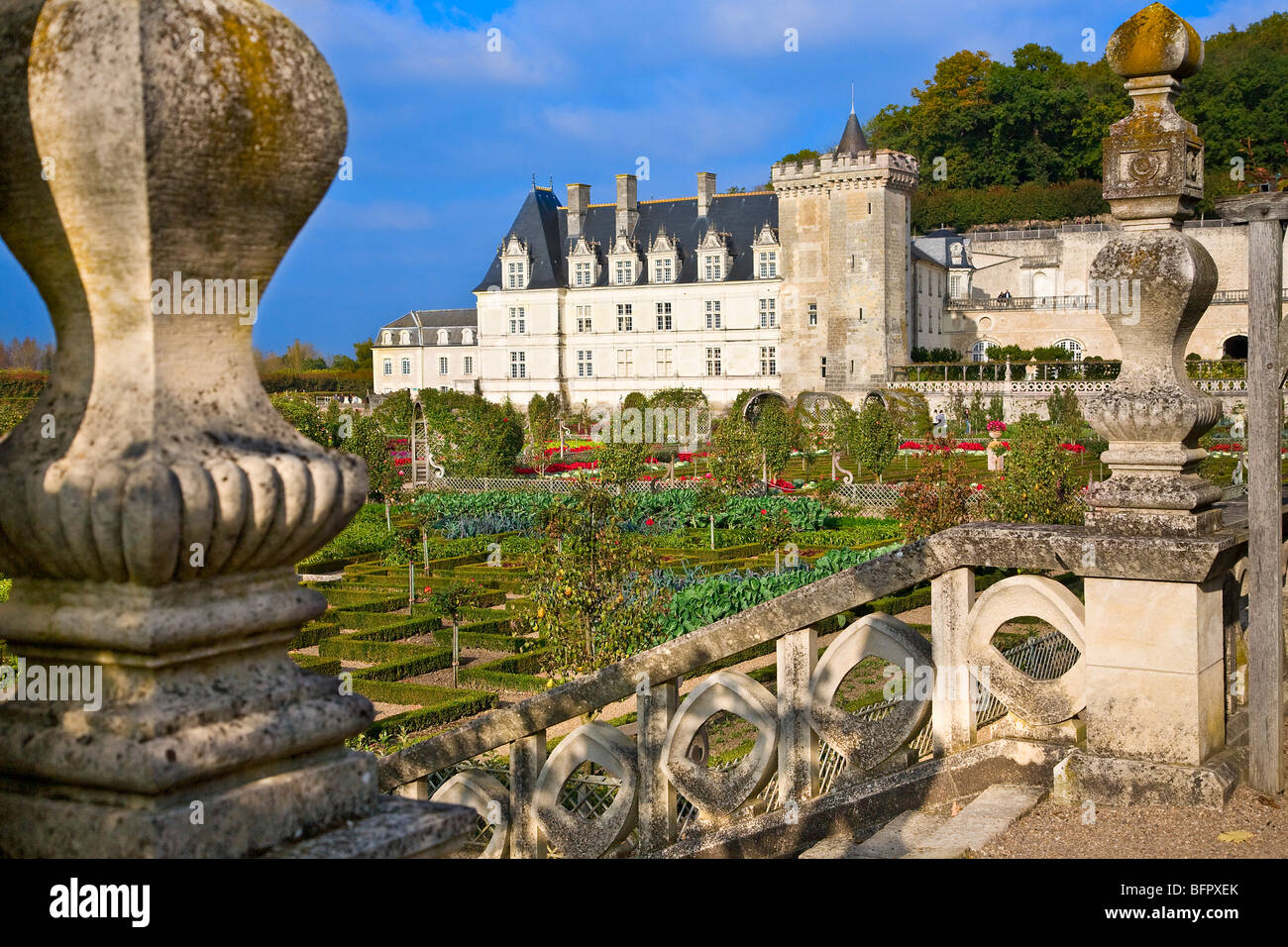 Castello di Villandry, Loire, Francia Foto Stock