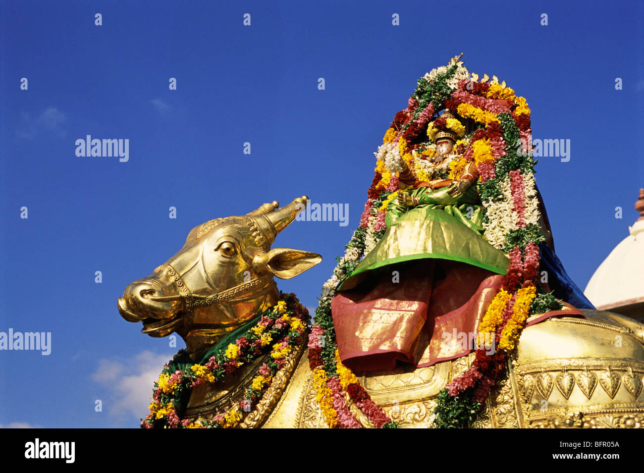 MAA 66956 : Parvathavardini su rishaba Urchava divinità ; Ramanathaswamy temple ; Rameswaram Rameshvaram ; Tamil Nadu ; India Foto Stock