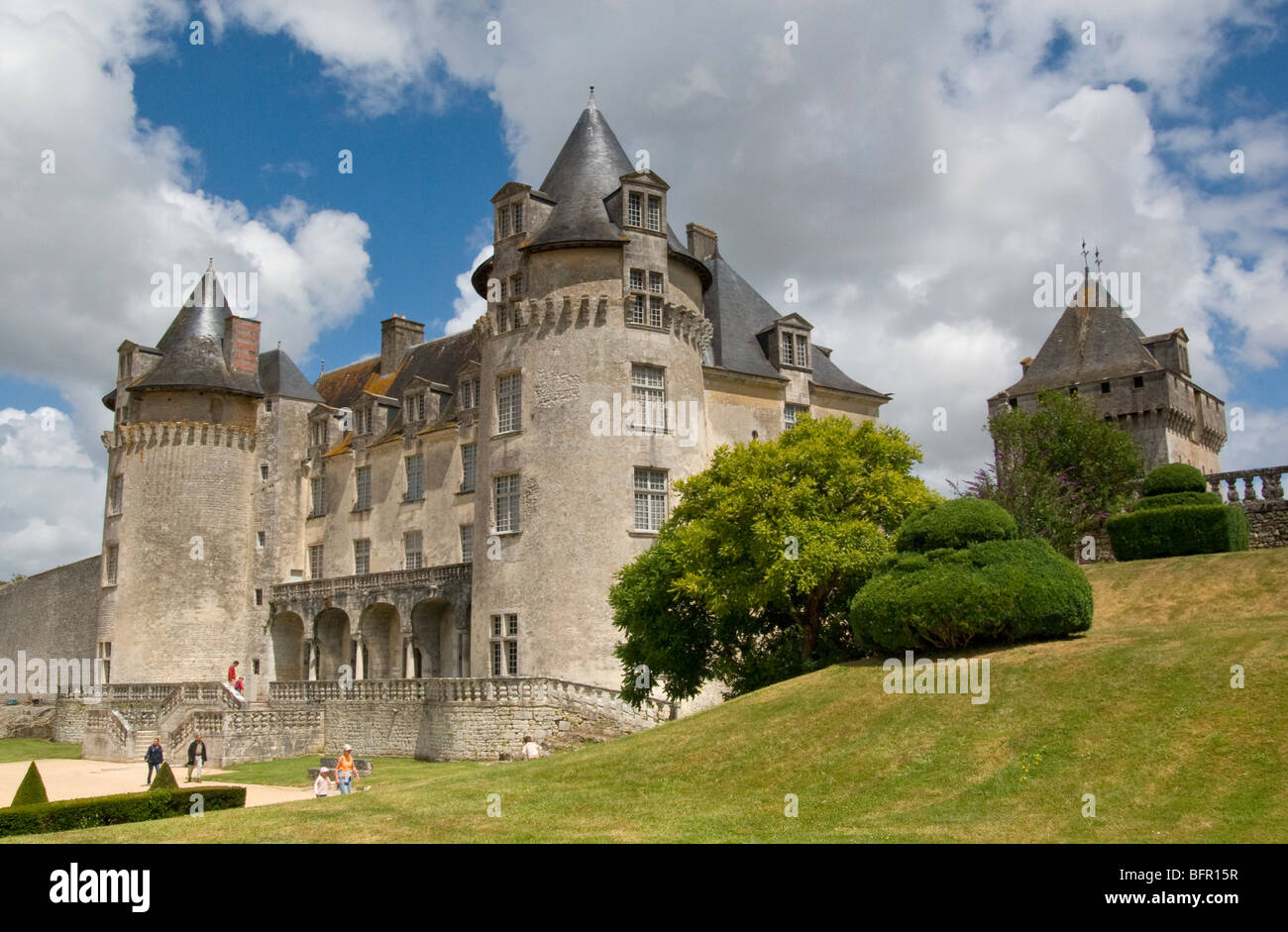 Chateau La Roche Courbon Foto Stock