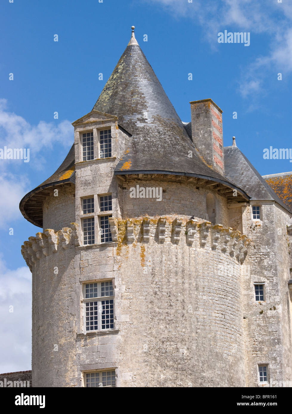 Torre Chateau La Roche Courbon Foto Stock