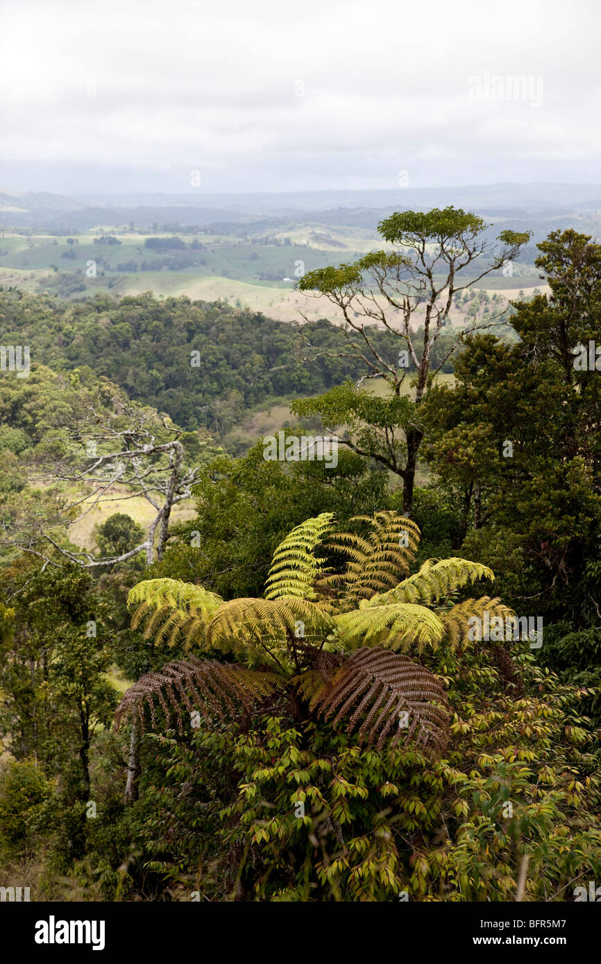 Altopiano di Atherton Queensland Australia Foto Stock