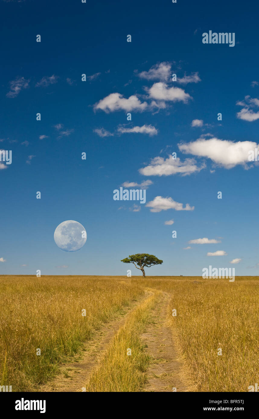Un lone tree all'orizzonte con una jeep via che conduce verso di esso. Luna piena manipolato digitalmente overhead. Foto Stock