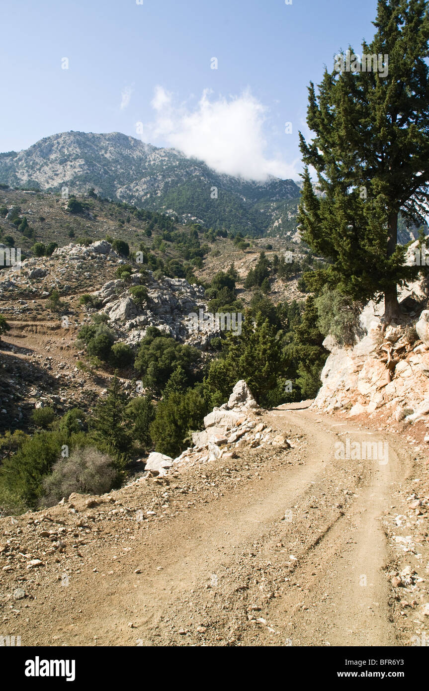 dh Metaxochori zona IERAPETRA GRECIA CRETE Cretan Dikti strada di montagna pista e pini paesaggio deserto Foto Stock