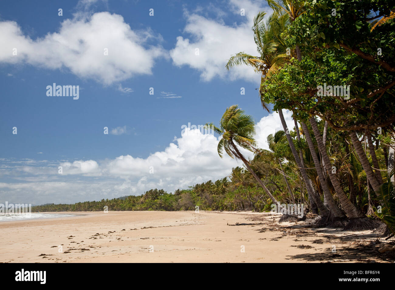 La Mission Beach, vicino a Cairns, Queensland, Australia Foto Stock