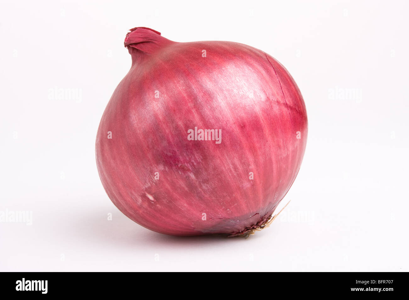 Vivace rosso cipolla insalata isolata contro uno sfondo bianco. Foto Stock