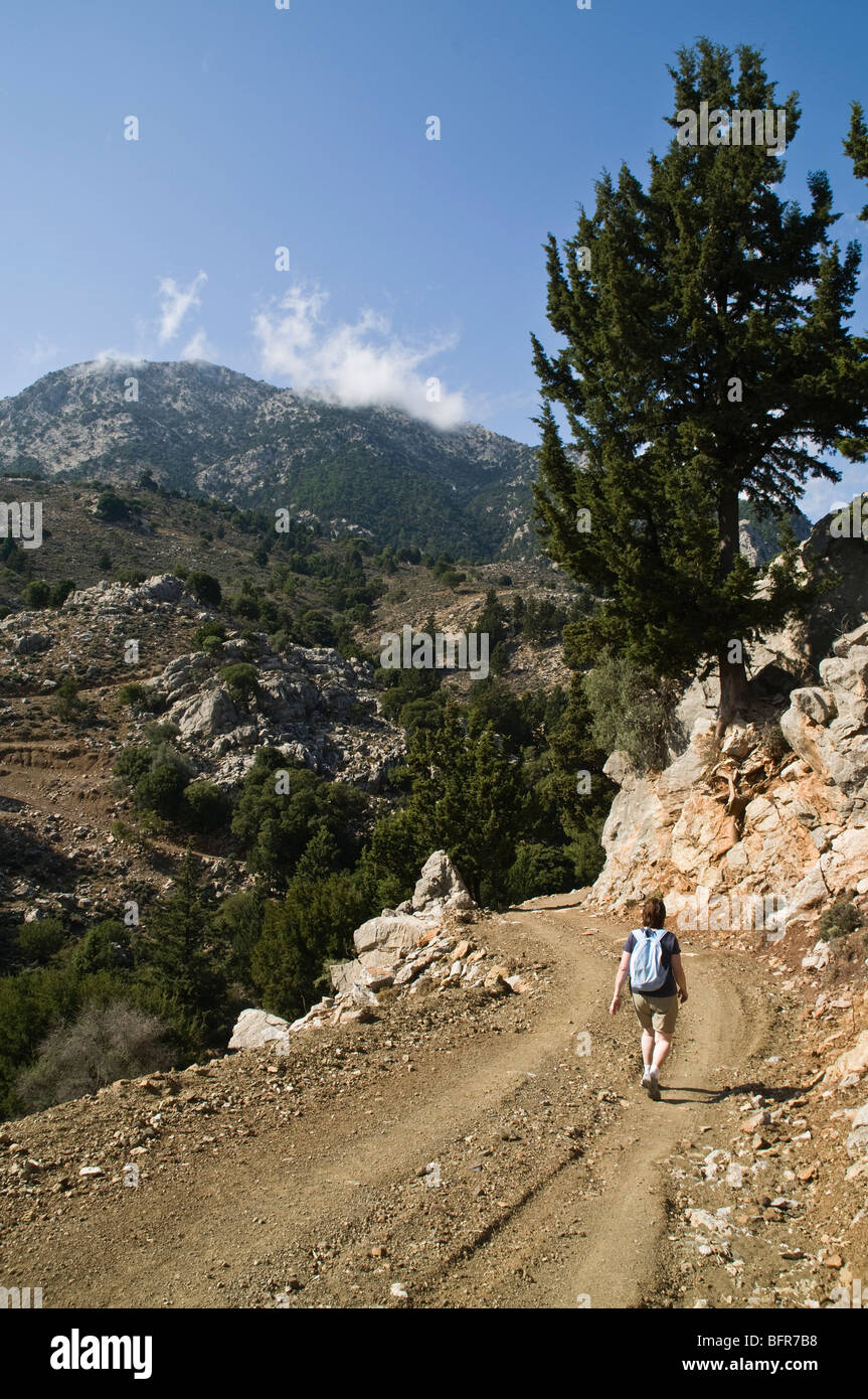 Dh area Metaxochori IERAPETRA Grecia CRETA donna turistico backpacker camminando giù Dikti cretese mountain via strada Foto Stock