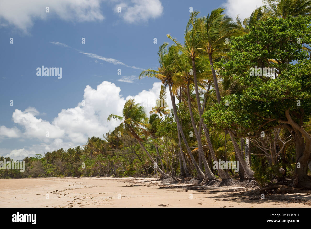 La Mission Beach, vicino a Cairns, Queensland, Australia Foto Stock