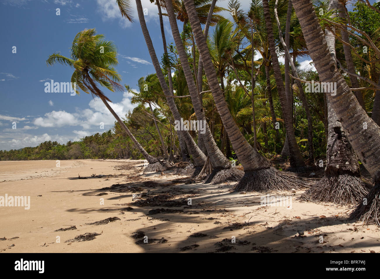 La Mission Beach, vicino a Cairns, Queensland, Australia Foto Stock