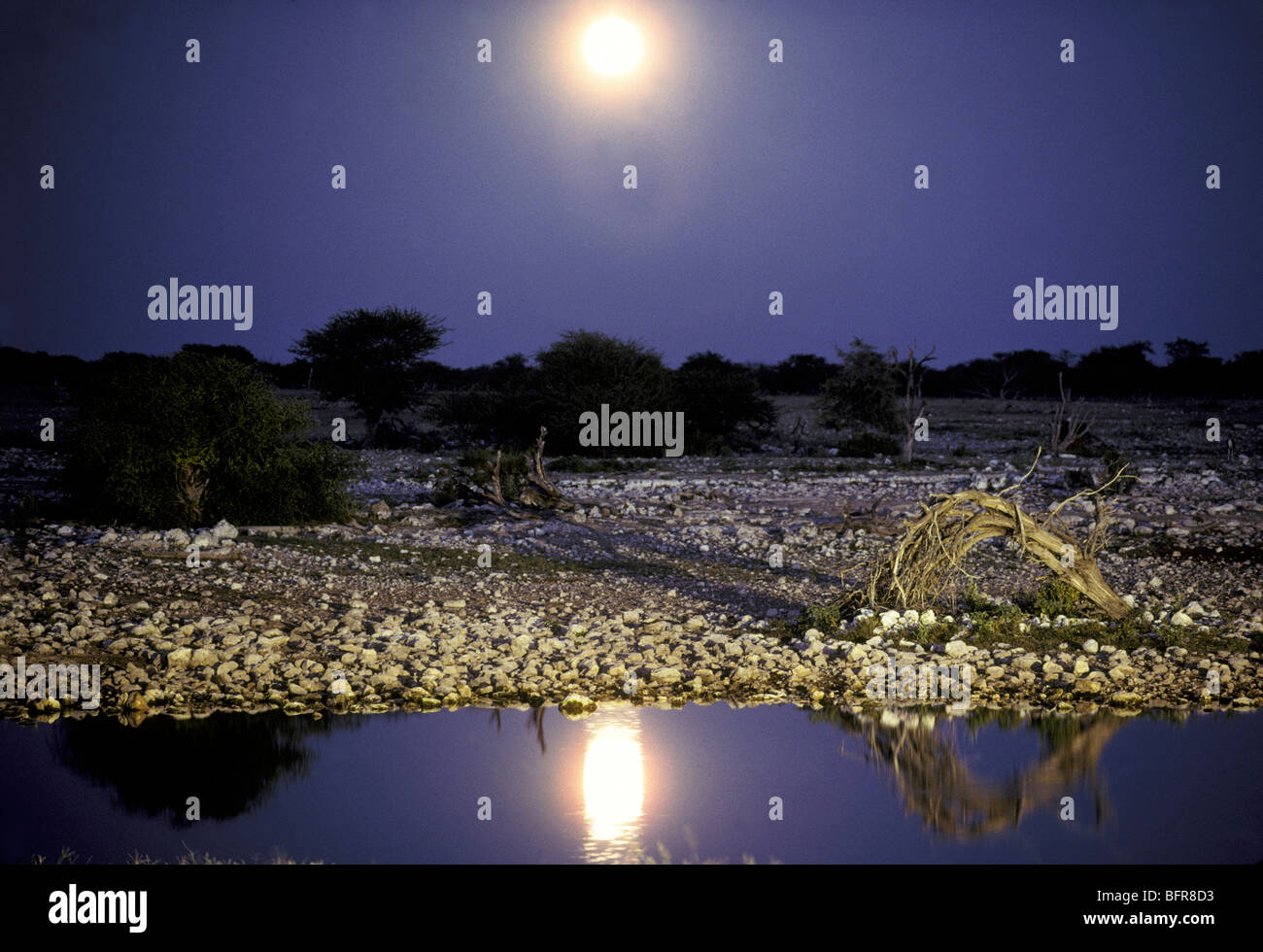 Okaukuejo waterhole e luna crescente Foto Stock