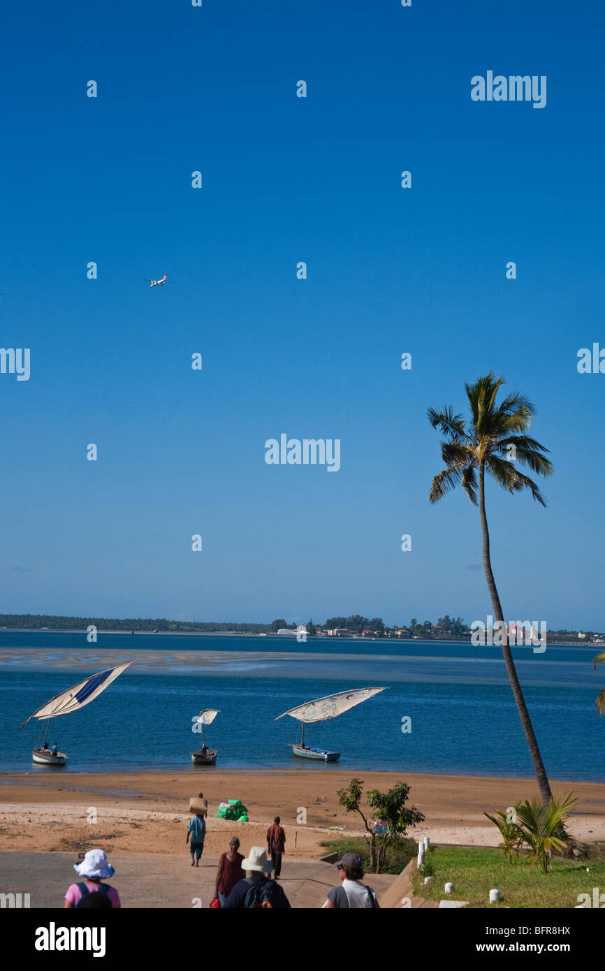 Palm tree su una spiaggia a Maxixe con dhow ormeggiate e un aereo tettuccio Foto Stock