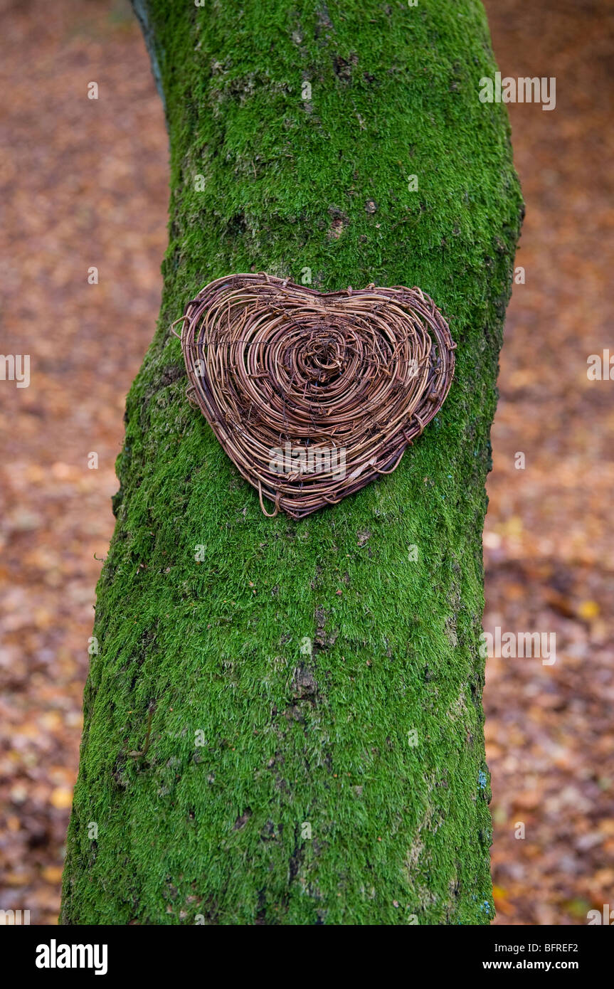 Amo la natura cuore Foto Stock