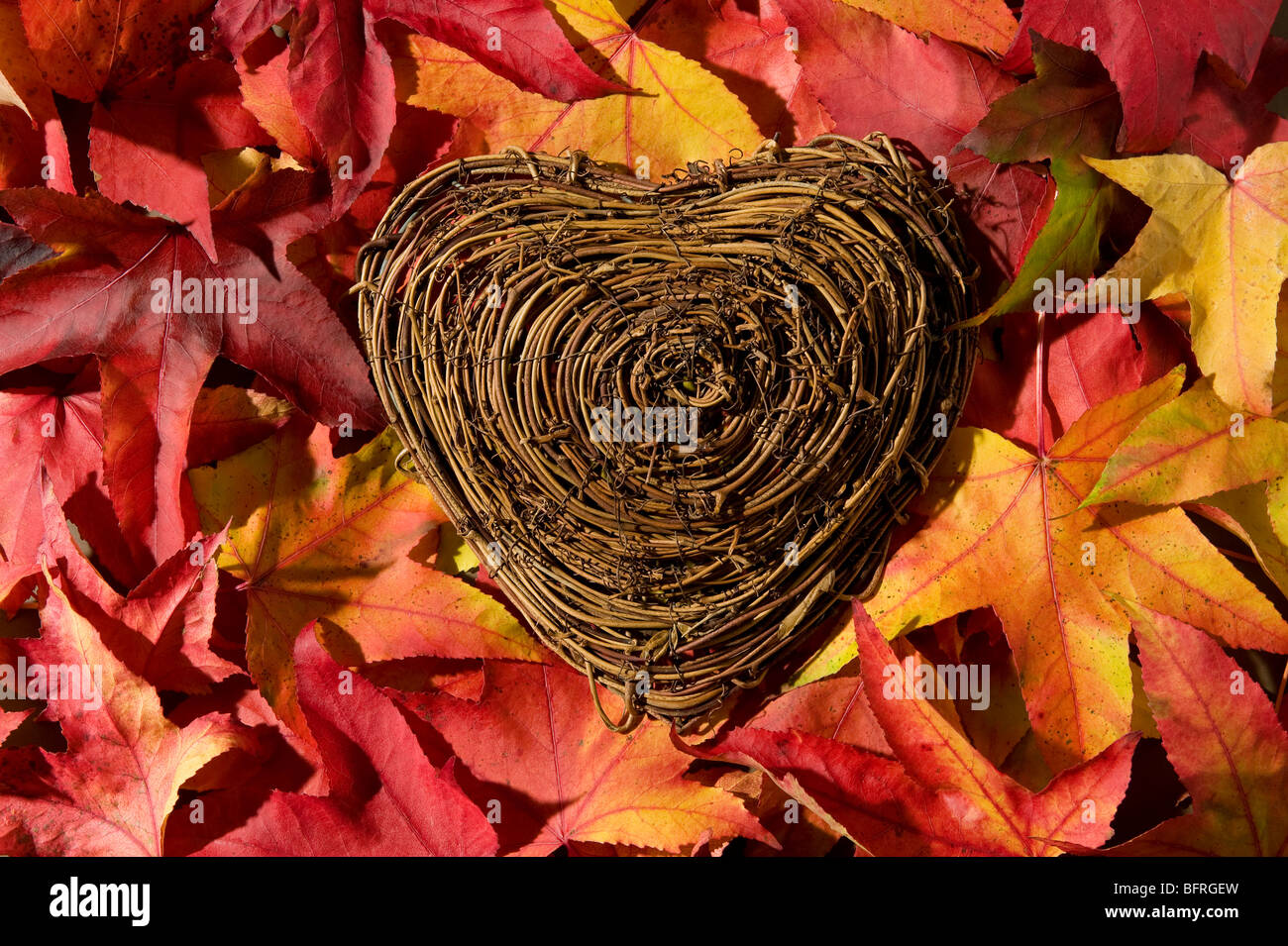 Amo la natura cuore sulle foglie colorate Foto Stock