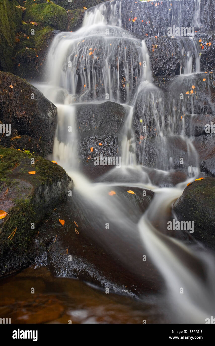 Cascata che scorre in Hebden acqua a Hardcastle Crags, falesia Vale, Heptonstall, West Yorkshire, Regno Unito Foto Stock