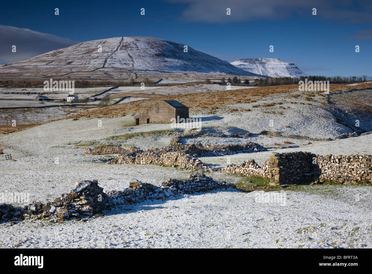 Yorkshire Dales inverno scena di neve coperta di neve campi stalattite pareti e fienile con Simon cadde e Ingleborough Hill Regno Unito Foto Stock