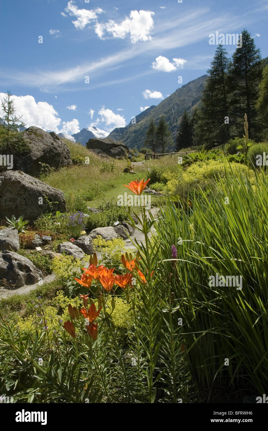 Parco Nazionale Gran Paradiso, Giardino Botanico Alpino Paradisia, Cogne, Valle d'Aosta, Italia Foto Stock