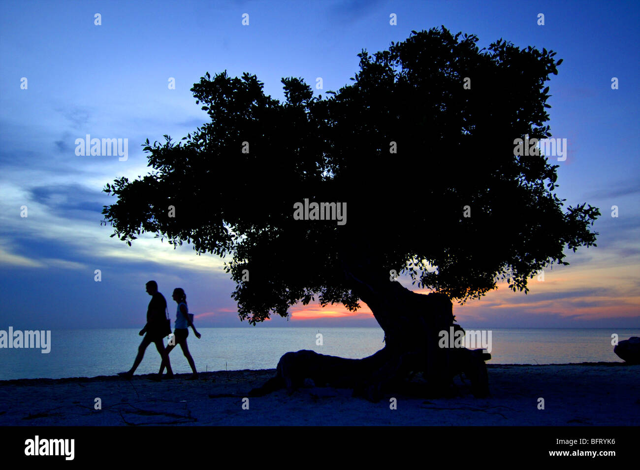 Aruba Eagle beach Foto Stock