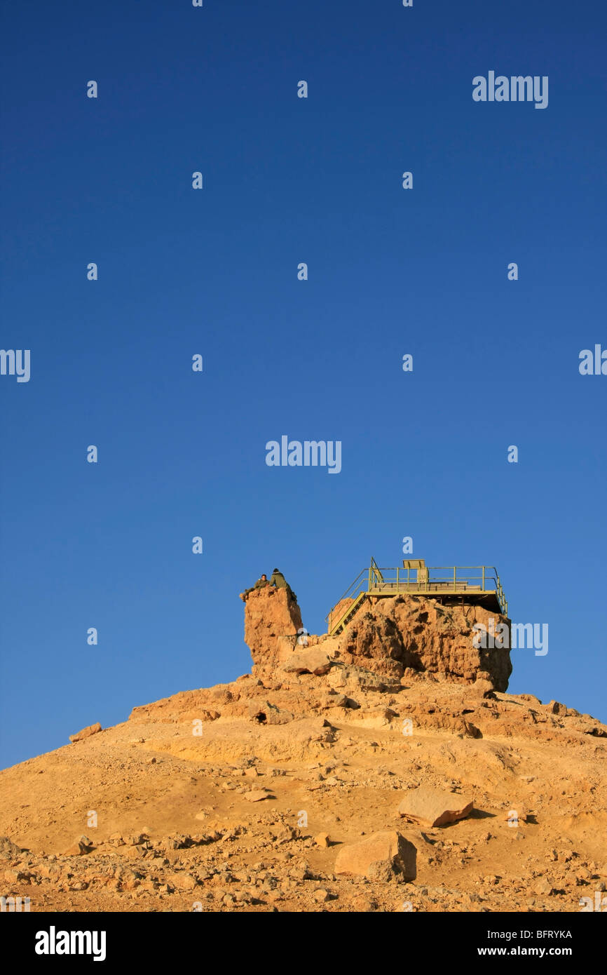 Israele Negev, camel rock sagomato affacciato sul cratere Ramon Foto Stock