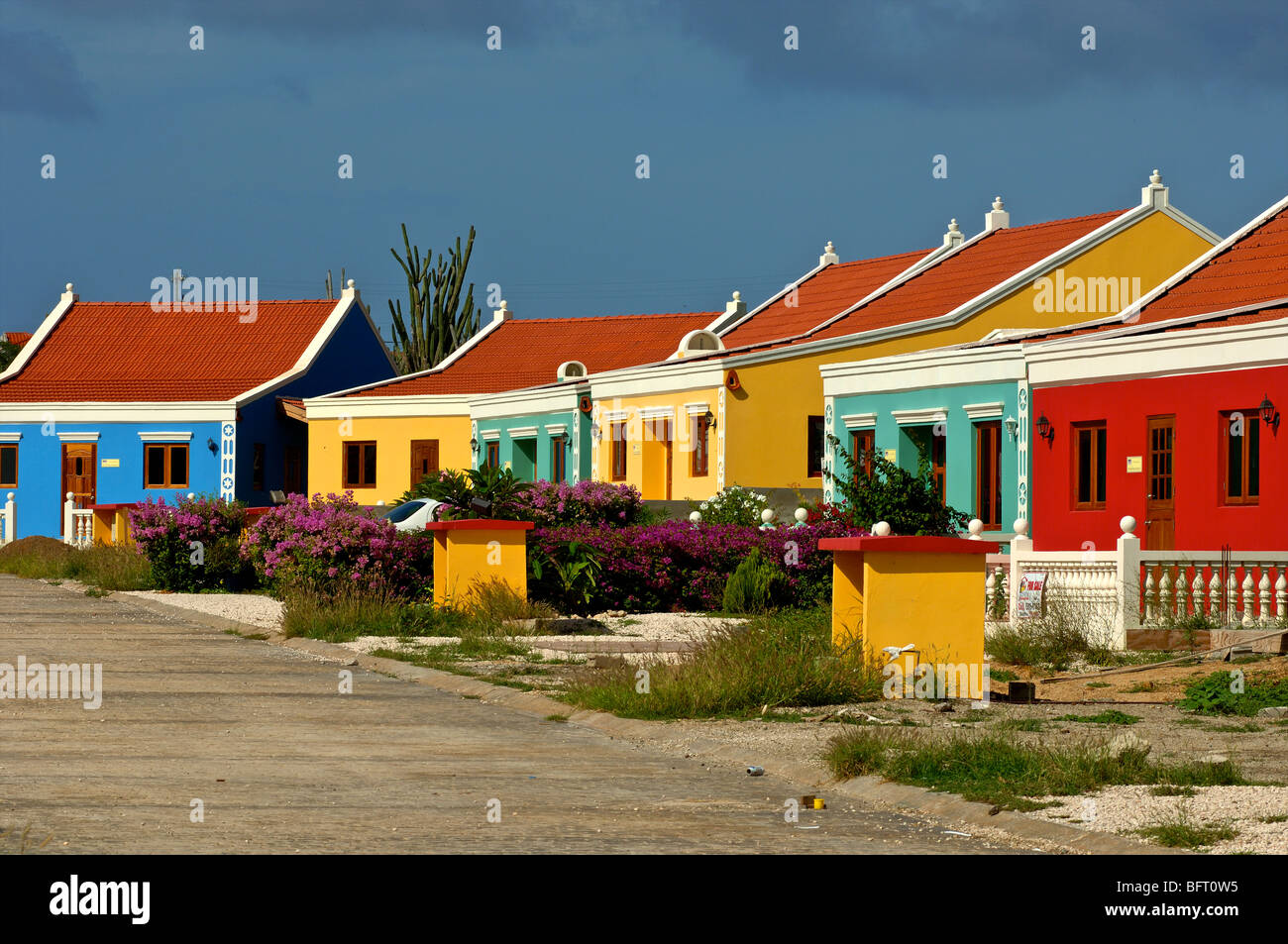 Aruba, colorfull case Foto Stock