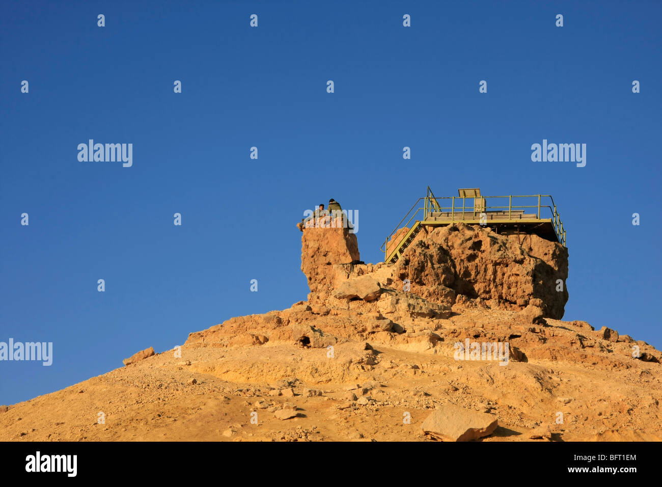 Israele Negev, camel rock sagomato affacciato sul cratere Ramon Foto Stock