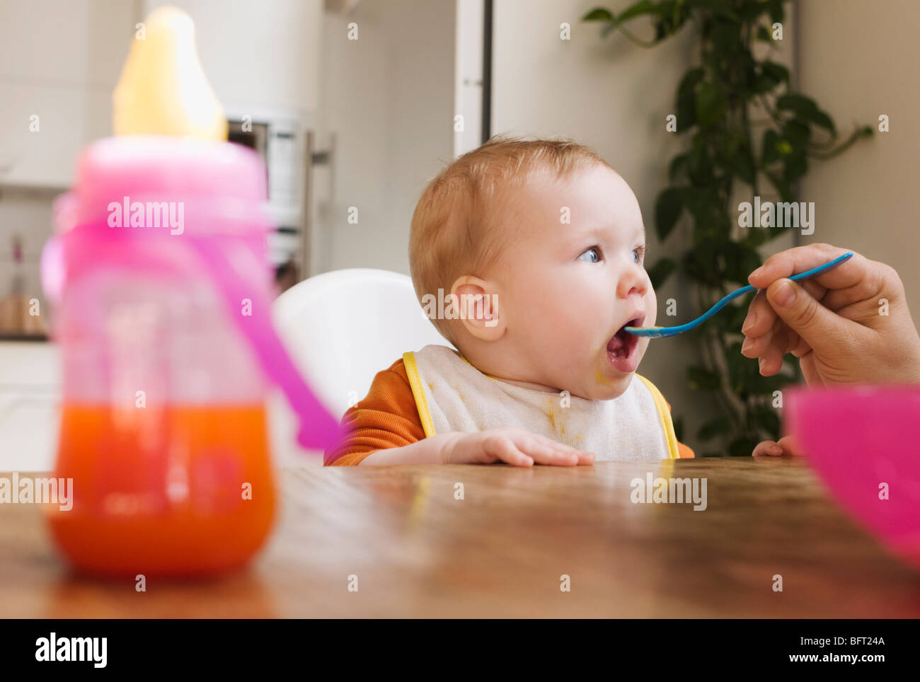 Alimentazione principale Baby Foto Stock