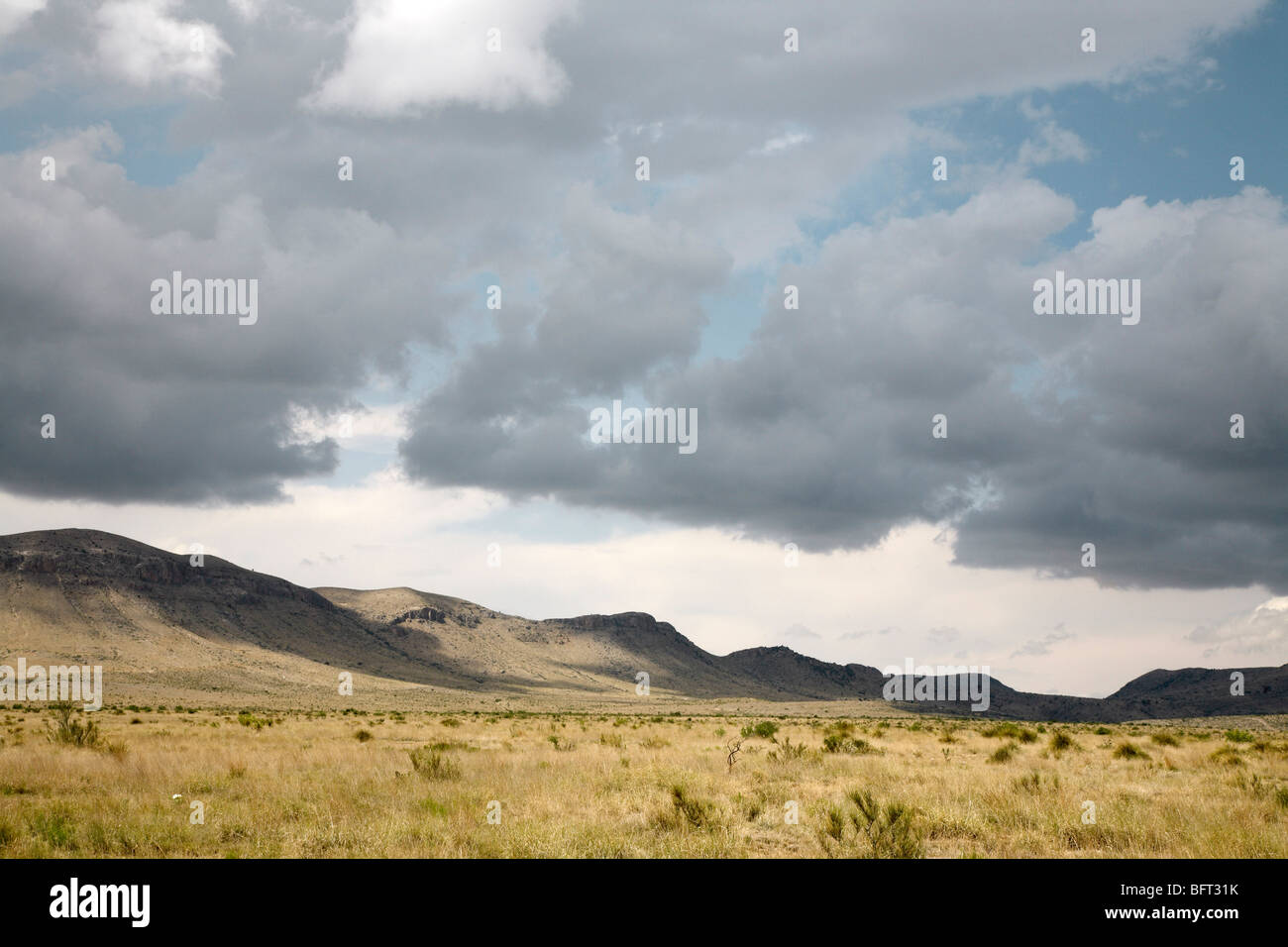 Montagne di vetro, Brewster County, Texas, Stati Uniti d'America Foto Stock