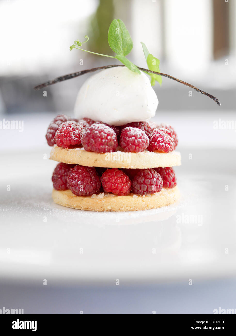 Lampone Shortcake Foto Stock