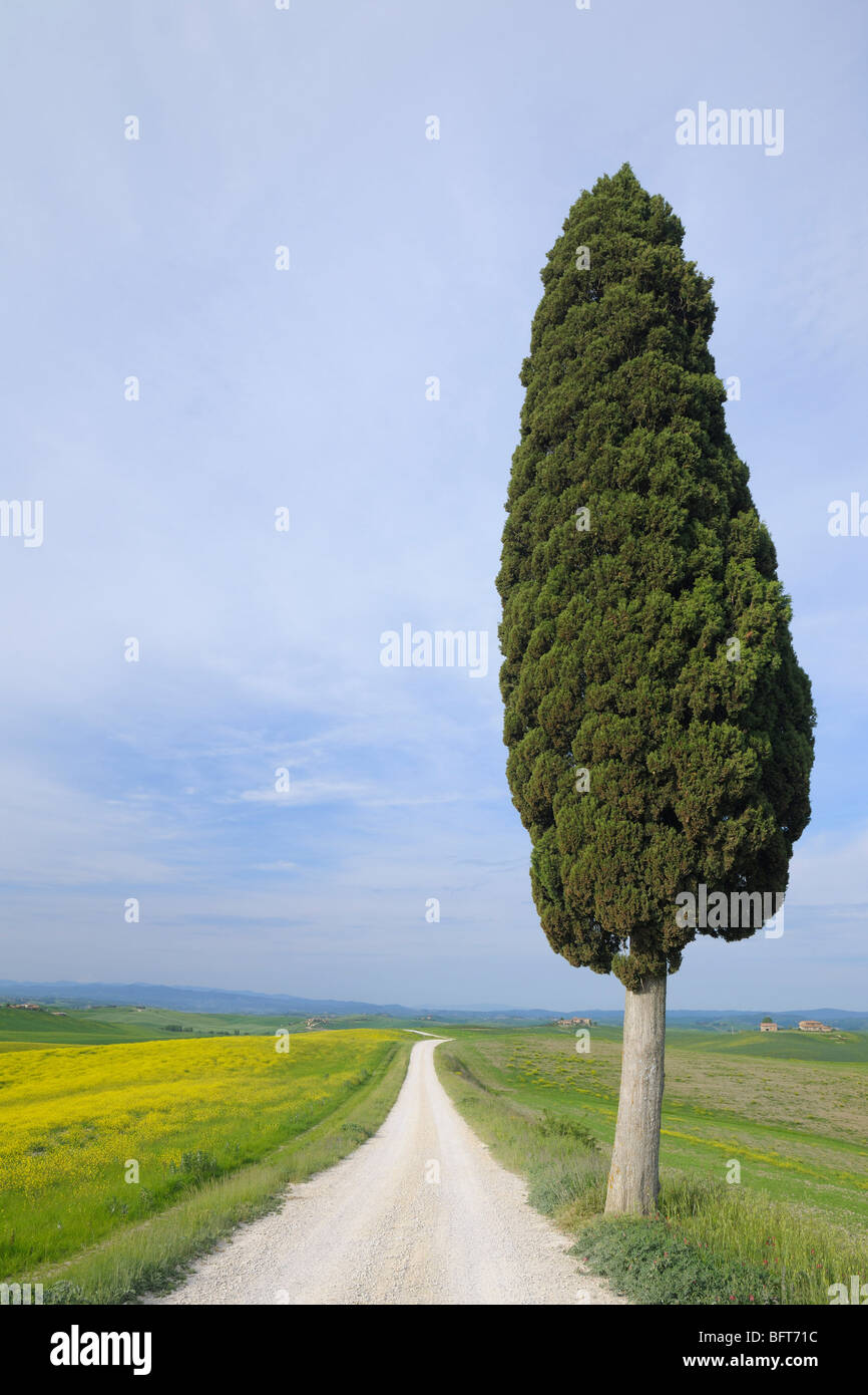 Ville di Corsano, Monteroni d'Arbia, in provincia di Siena, Toscana, Italia Foto Stock