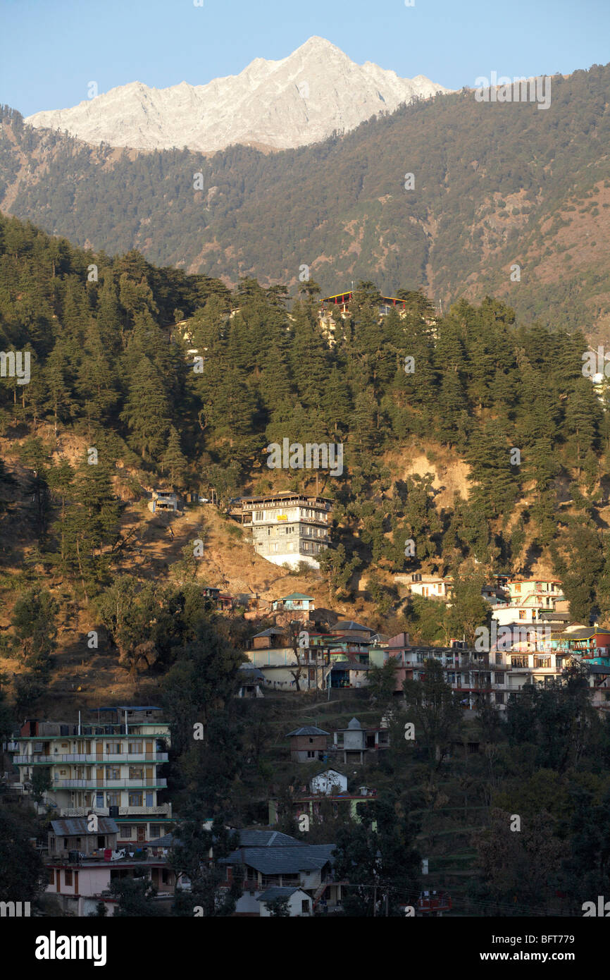 McLeod Ganj, Dharamshala, distretto di Kangra, Himachal Pradesh, India Foto Stock