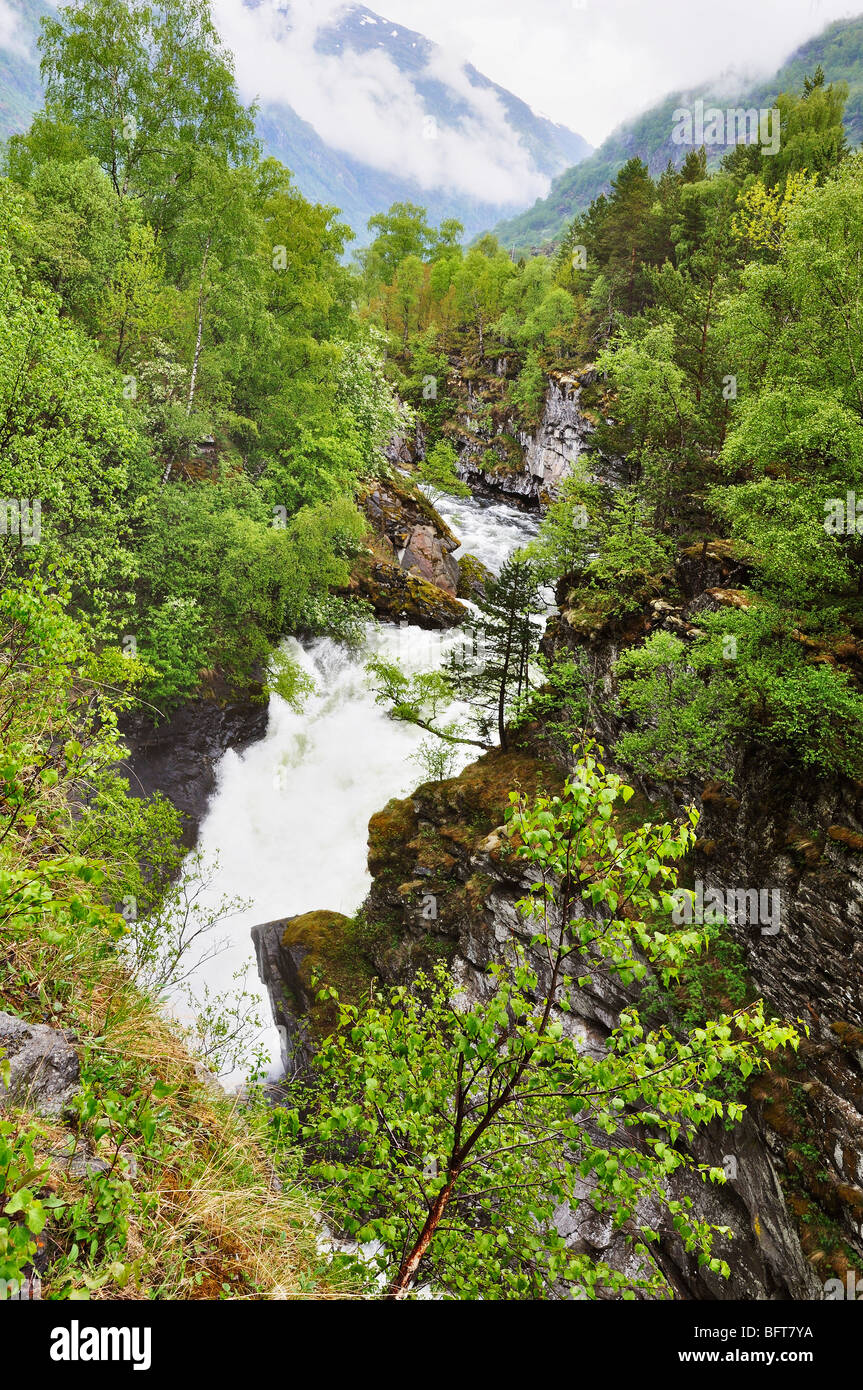 Laerdal Fiume e Svartegjel Gorge, Norvegia Foto Stock