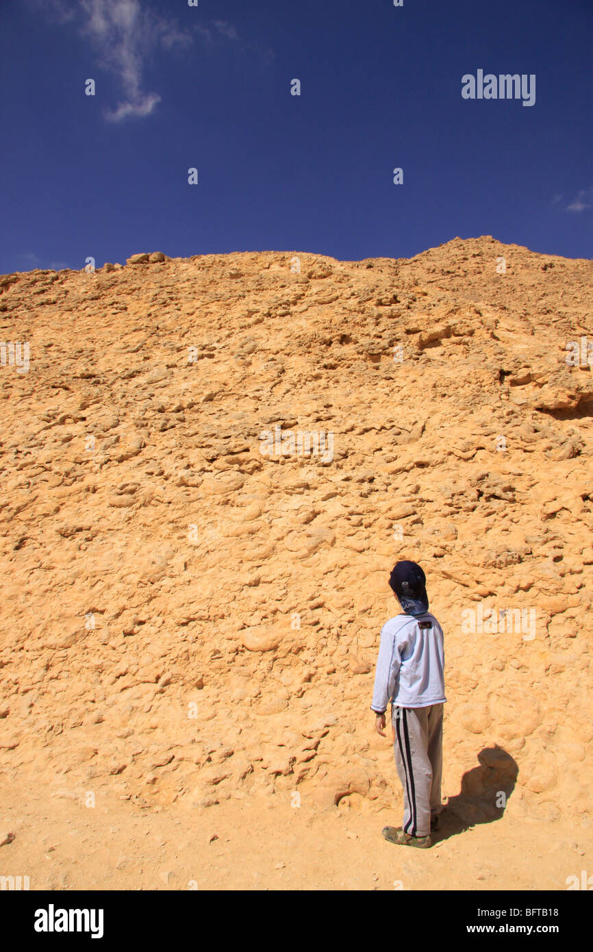 Israele Negev, l'Ammonita parete nel cratere Ramon Foto Stock