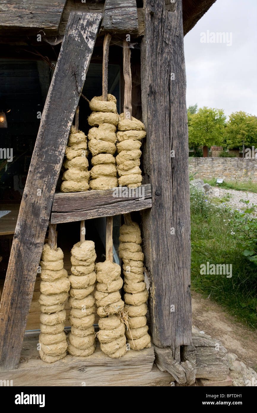 Cob riempimento su un legno casa in Alsace Foto Stock