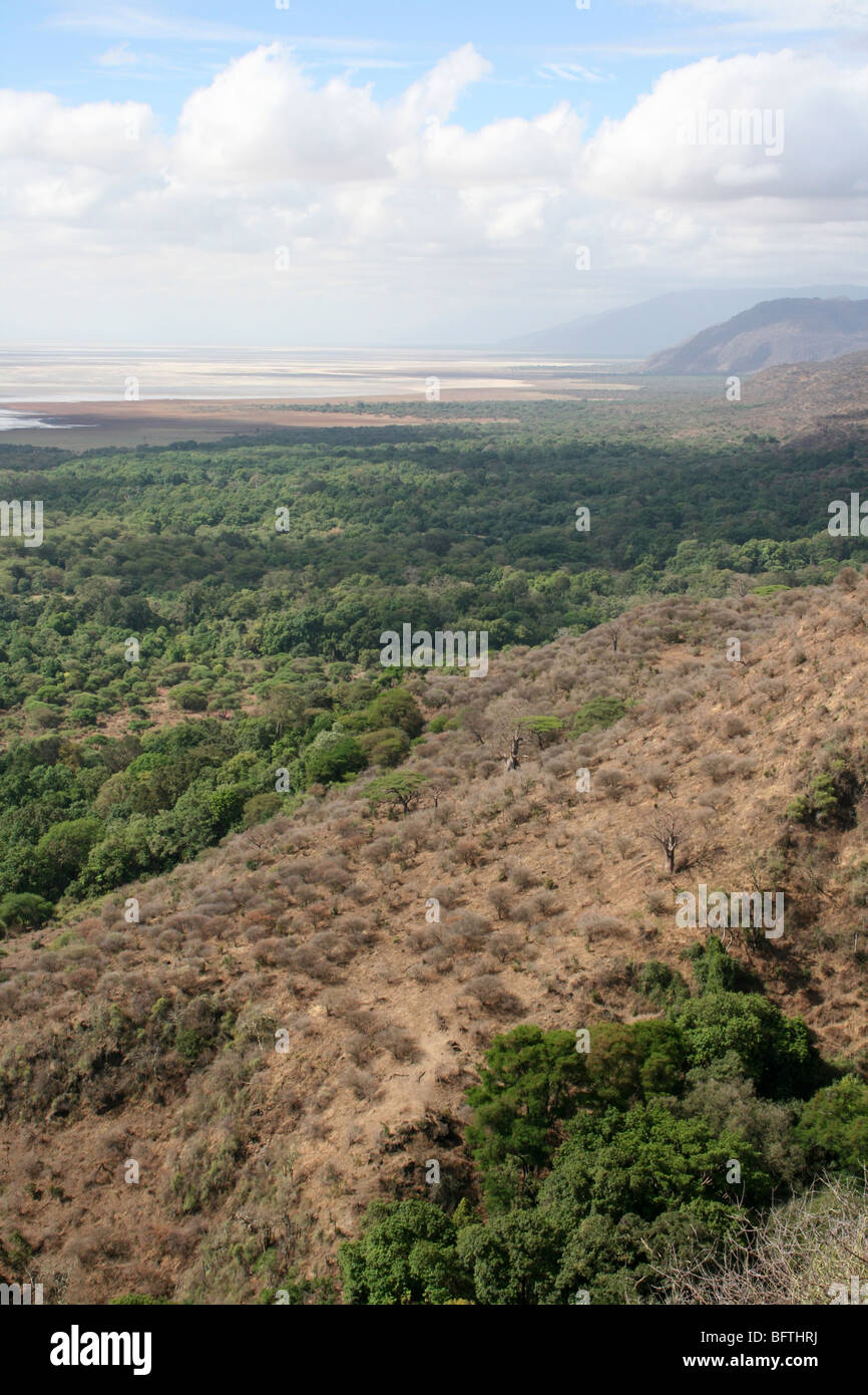 Vista la Grande Rift Valley al Lago Manyara NP, Tanzania Foto Stock