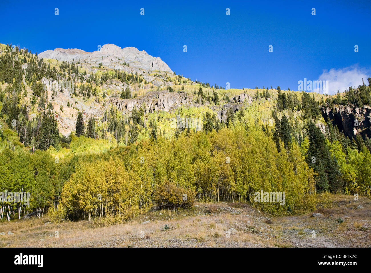 Autunno a colori in San Juan Mountains, Colorado. Foto Stock