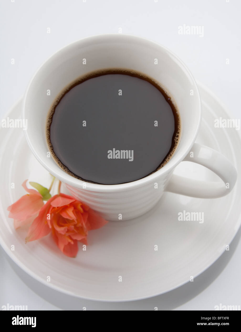 Tazza da caffè con fiore Foto Stock
