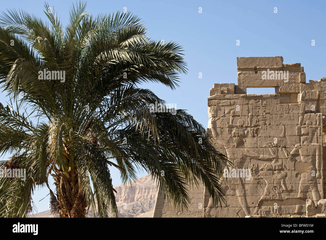 Palm Tree e smiting scena sul primo pilone a Medinet Habu , tempio mortuario di Ramesse III, la riva occidentale del Nilo, Luxor, Egitto Foto Stock