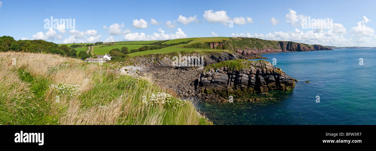 Il Pembrokeshire Coast National Park a Stackpole Quay, Pembrokeshire, Galles Foto Stock