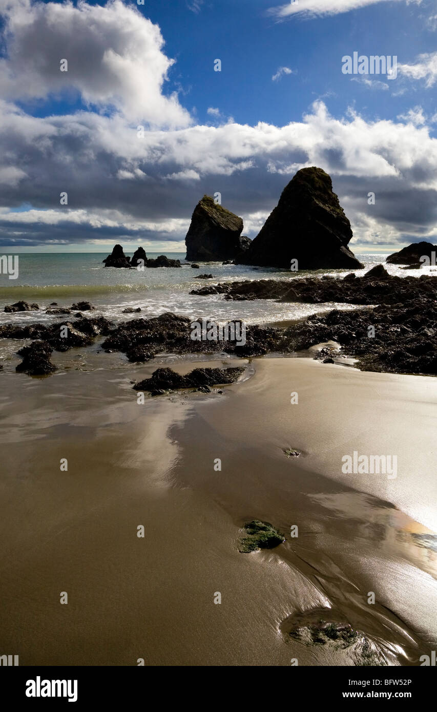 Ballydowane cove, rame coast geopark, vicino bunmahon, nella contea di Waterford, Irlanda Foto Stock