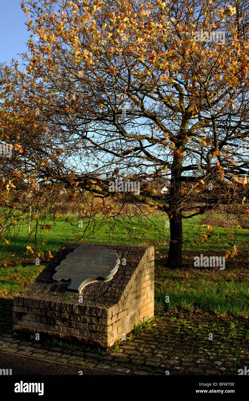 The Midland Oak and Plaque, Leamington Spa, Warwickshire, Inghilterra, Regno Unito Foto Stock