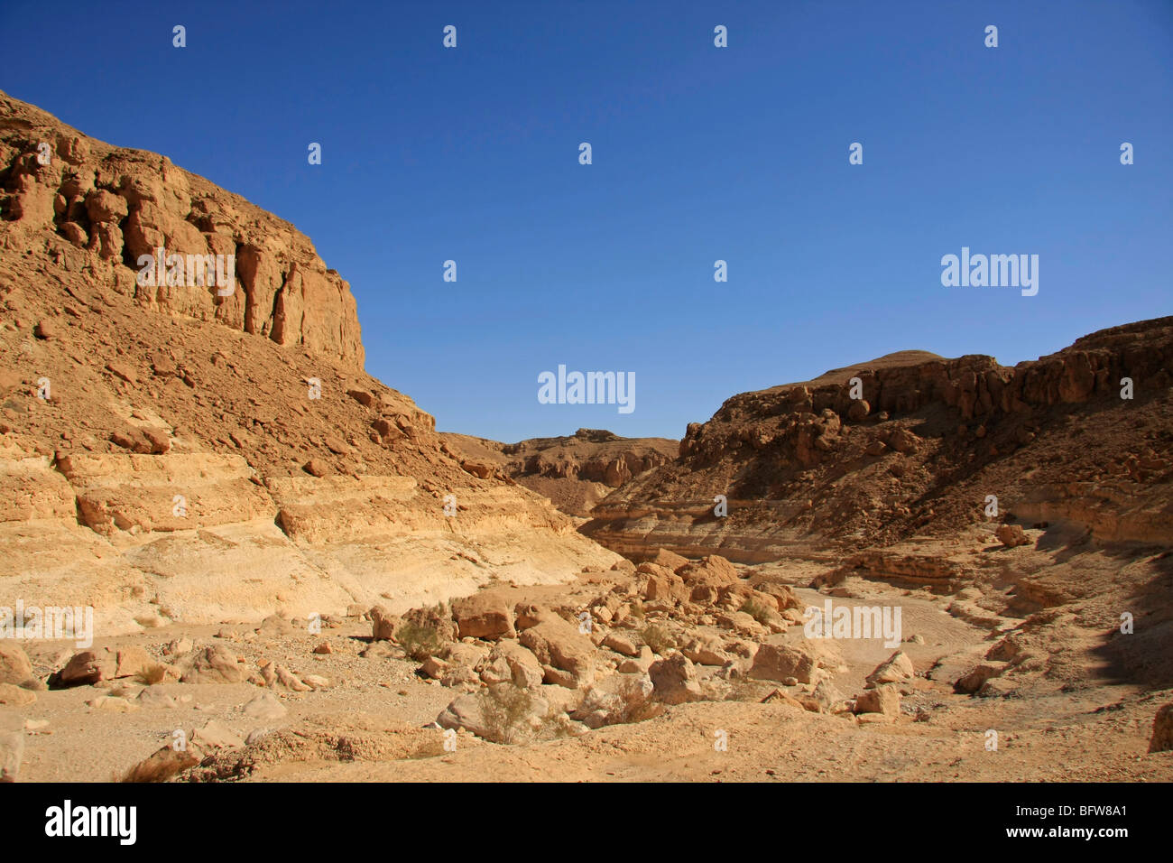 Israele Negev, Wadi Nekarot sull'antico percorso di incenso, un sito del Patrimonio Mondiale Foto Stock