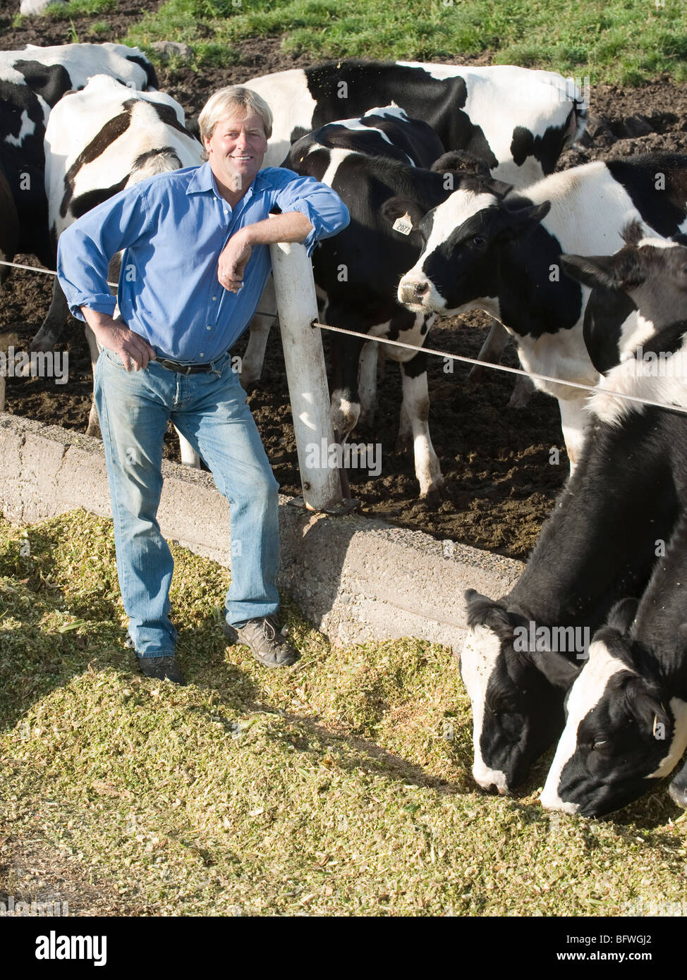 Dairy Farm in Ontario, Canada Foto Stock