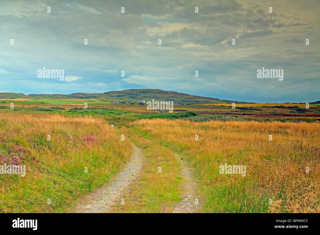 Paesaggio vicino al Loch Gorm, isola di Islay, Scozia Foto Stock