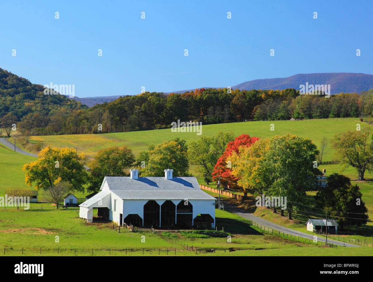 Granaio sulla fattoria in Arborhill, Shenandoah Valley, Virginia Foto Stock