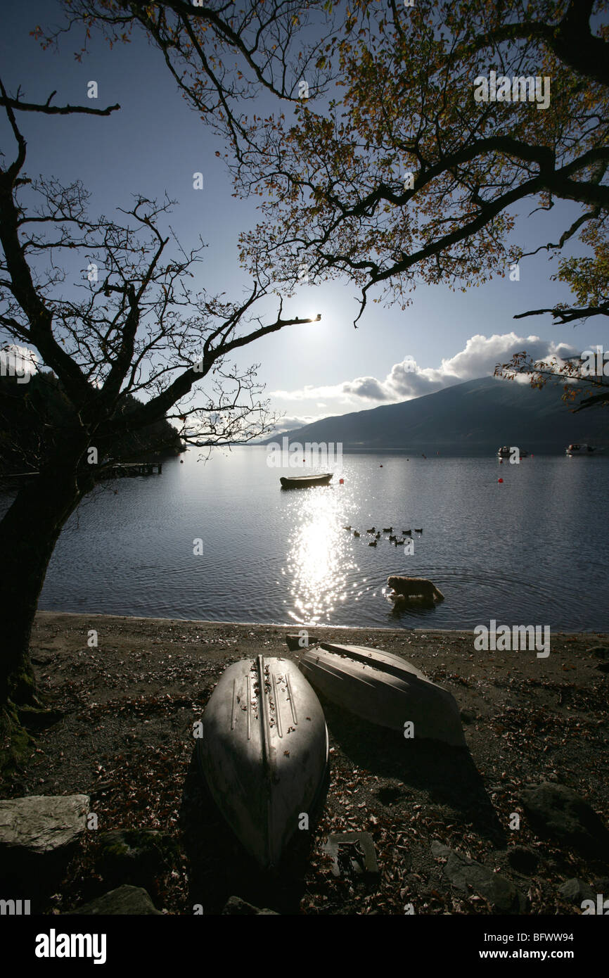 Area di Loch Lomond, Scozia. Pittoresca autunnale, stagliano vista di un cane paddling a Rowardennan rive. Foto Stock